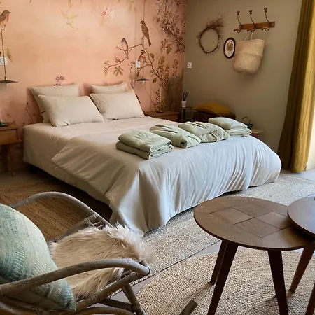 O Bord De Loire Bed & Breakfast Denée