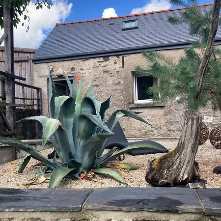 O Bord De Loire Bed & Breakfast