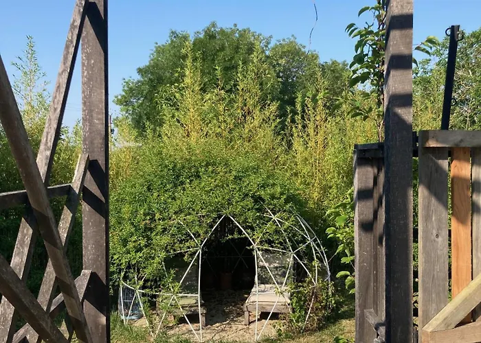 O Bord De Loire Denée