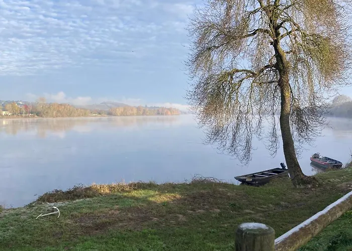 O Bord De Loire * Denée
