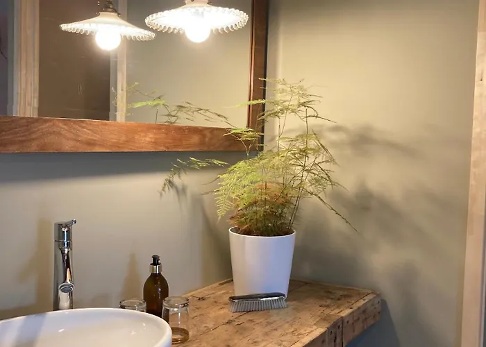 O Bord De Loire Denée