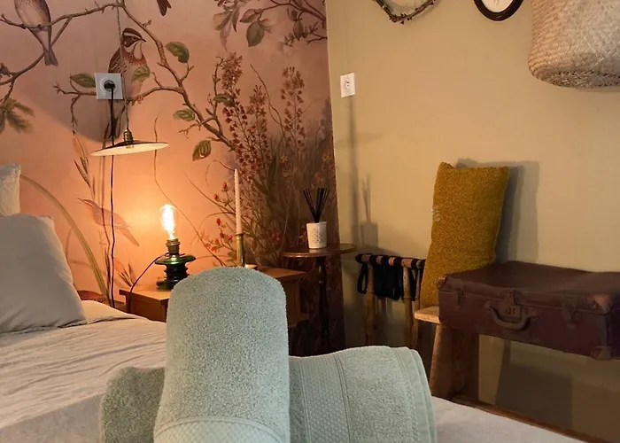 O Bord De Loire Bed & Breakfast Denée