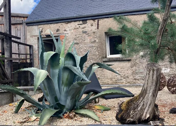 O Bord De Loire Bed & Breakfast